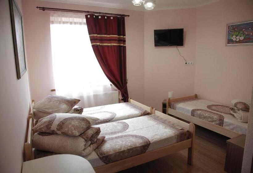 بنسيون Alekselena