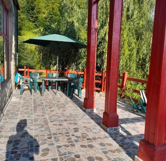 پانسیون Barlogul Ursilor Lepsa