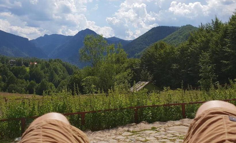 پانسیون Barlogul Ursilor Lepsa