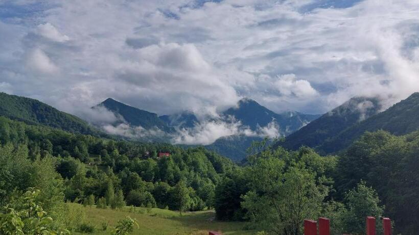 پانسیون Barlogul Ursilor Lepsa