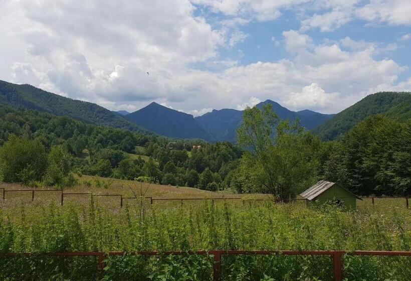 پانسیون Barlogul Ursilor Lepsa