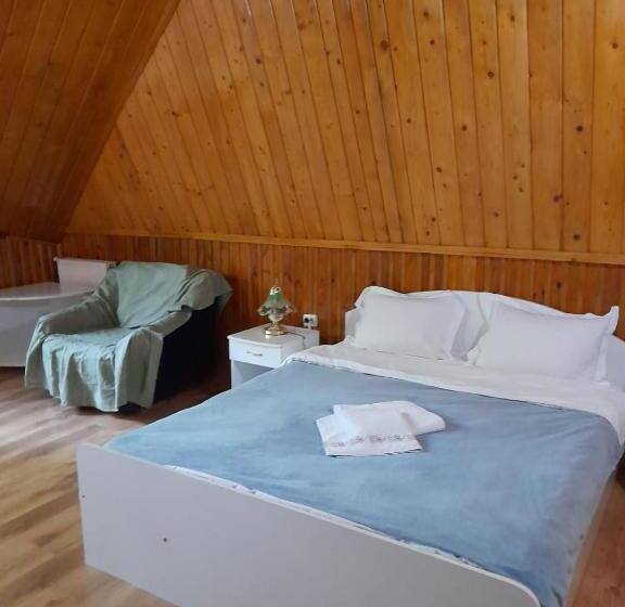 پانسیون Barlogul Ursilor Lepsa