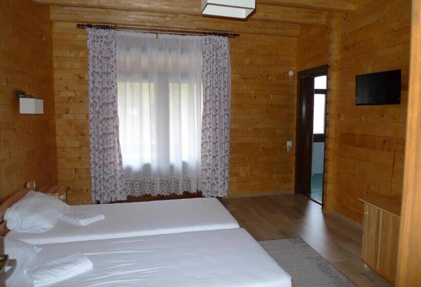 Pensiunea Mihaiu Sasului