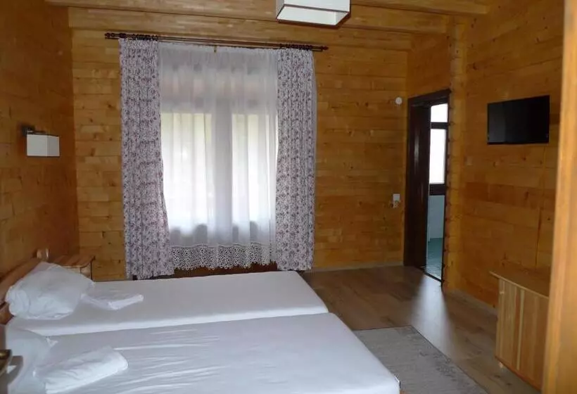 Pensiunea Mihaiu Sasului