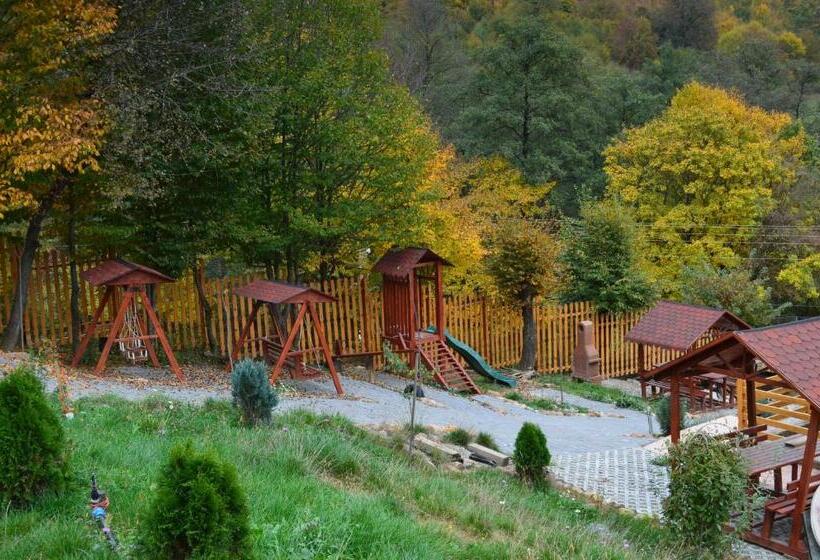 Pensiunea Mihaiu Sasului