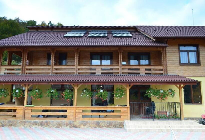 Pensiunea Mihaiu Sasului