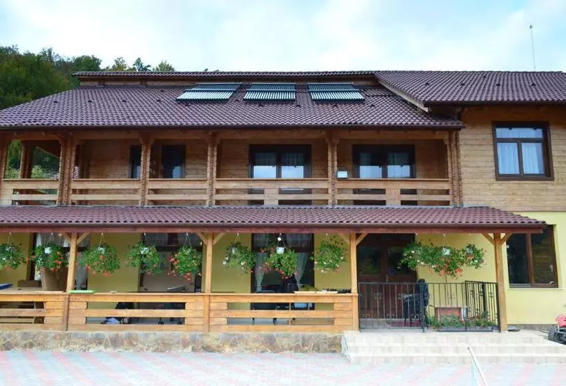 Pensiunea Mihaiu Sasului