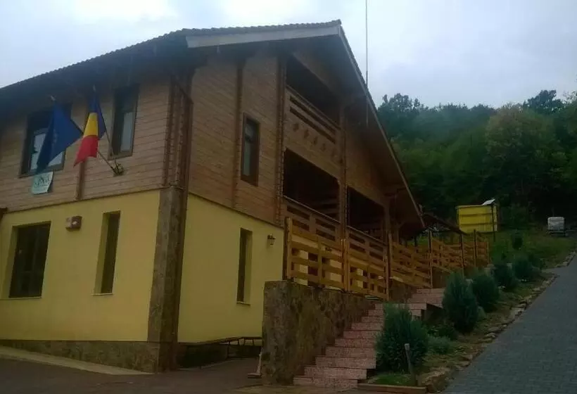 Pensiunea Mihaiu Sasului