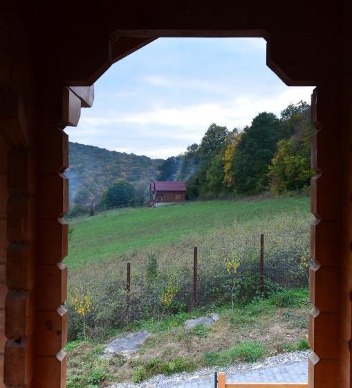 Pensiunea Mihaiu Sasului