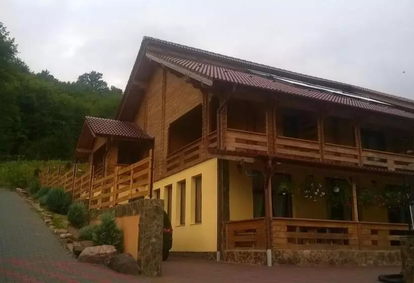 Pensiunea Mihaiu Sasului