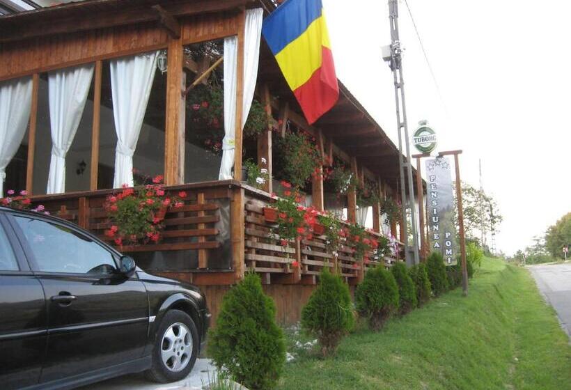 Pensiunea Pomi  Oesti