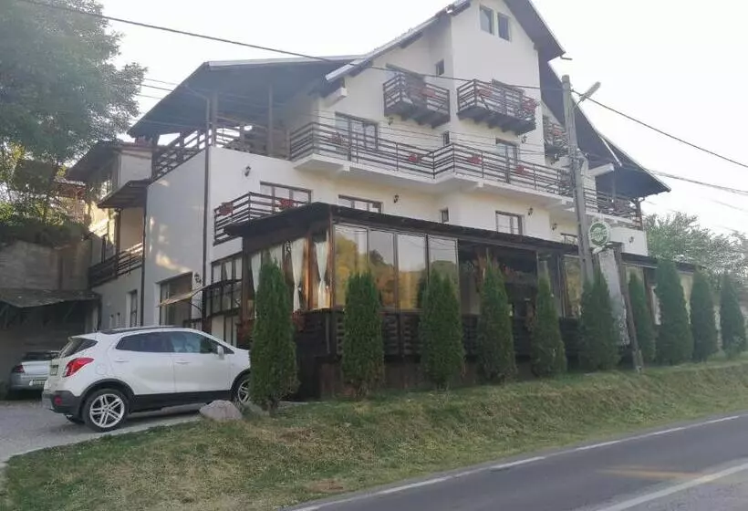 Pensiunea Pomi  Oesti