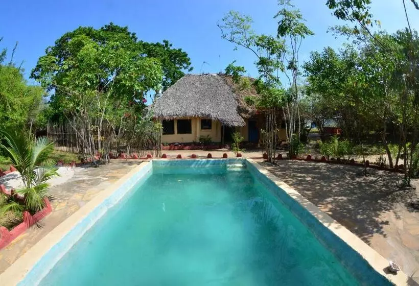 استراحتگاه Gecko Nature Lodge Home Of Swahili Divers The Best Dive Center And Famous Gecko Restaurant