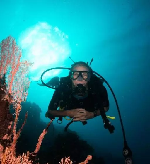 استراحتگاه Gecko Nature Lodge Home Of Swahili Divers The Best Dive Center And Famous Gecko Restaurant
