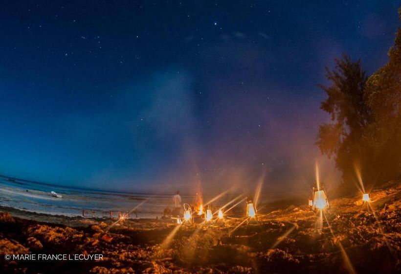 リゾートホテル Gecko Nature Lodge Home Of Swahili Divers The Best Dive Center And Famous Gecko Restaurant