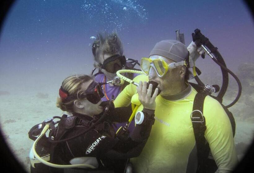 리조트 Gecko Nature Lodge Home Of Swahili Divers The Best Dive Center And Famous Gecko Restaurant