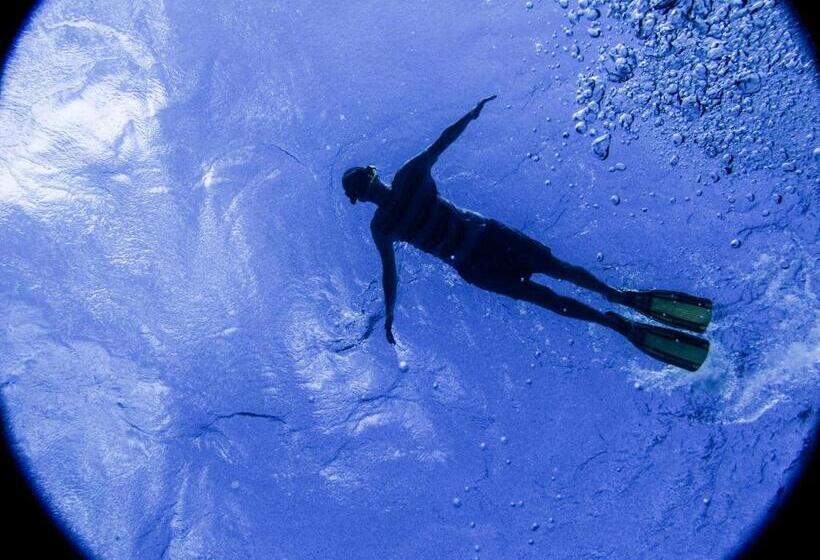 리조트 Gecko Nature Lodge Home Of Swahili Divers The Best Dive Center And Famous Gecko Restaurant