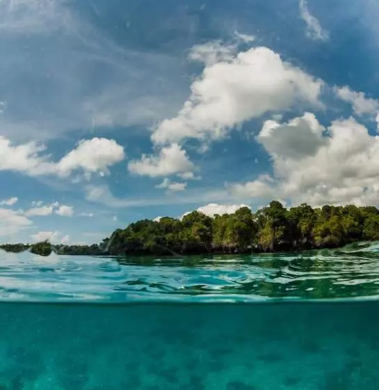 استراحتگاه Gecko Nature Lodge Home Of Swahili Divers The Best Dive Center And Famous Gecko Restaurant