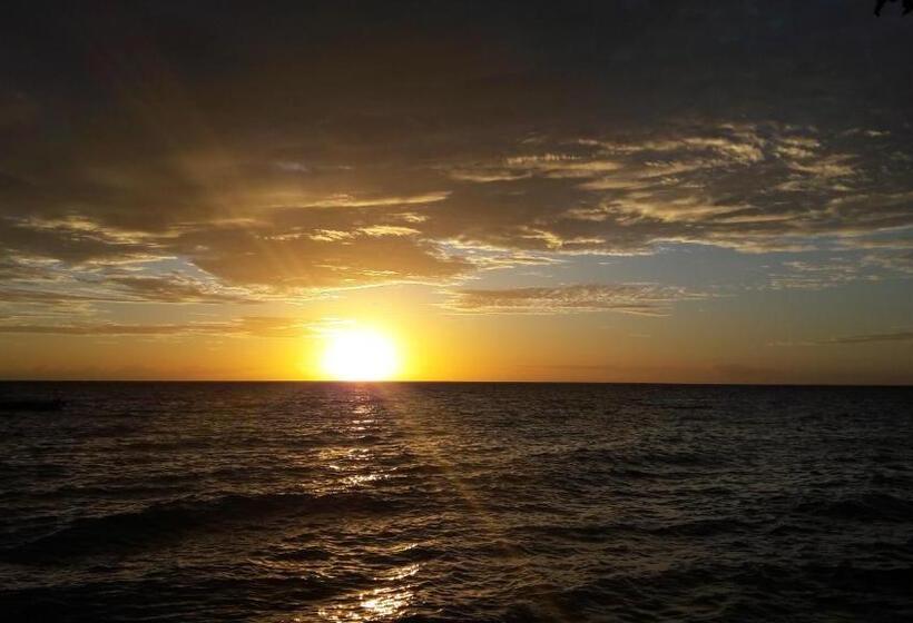 リゾートホテル Gecko Nature Lodge Home Of Swahili Divers The Best Dive Center And Famous Gecko Restaurant