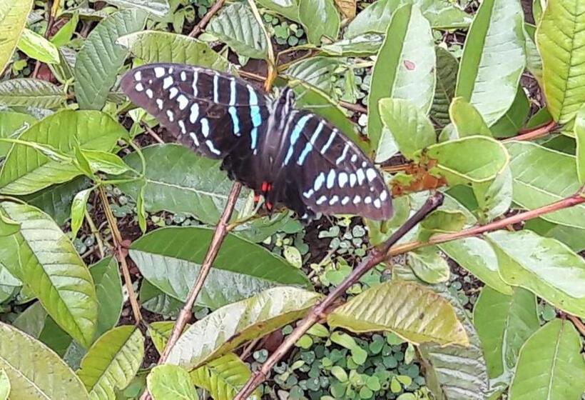 リゾートホテル Gecko Nature Lodge Home Of Swahili Divers The Best Dive Center And Famous Gecko Restaurant