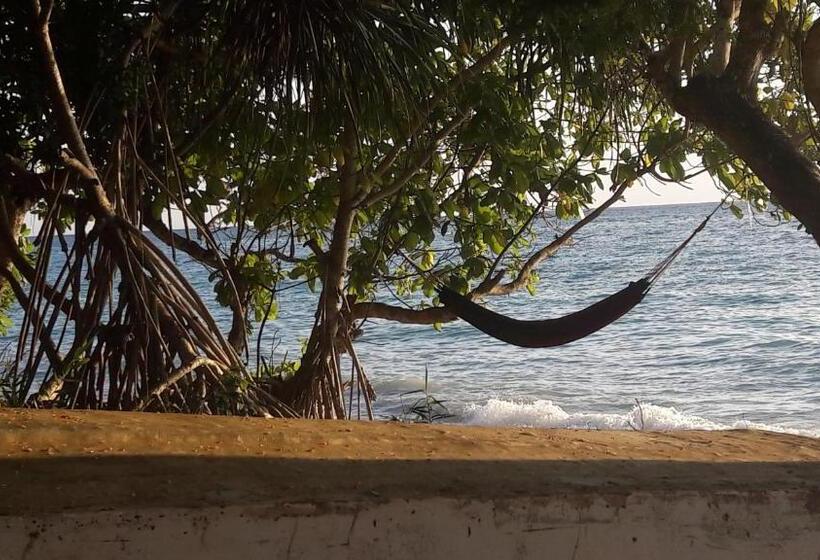 リゾートホテル Gecko Nature Lodge Home Of Swahili Divers The Best Dive Center And Famous Gecko Restaurant