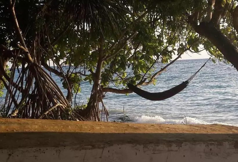 استراحتگاه Gecko Nature Lodge Home Of Swahili Divers The Best Dive Center And Famous Gecko Restaurant