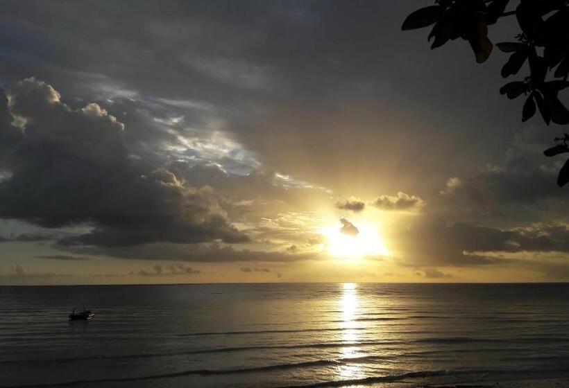 리조트 Gecko Nature Lodge Home Of Swahili Divers The Best Dive Center And Famous Gecko Restaurant