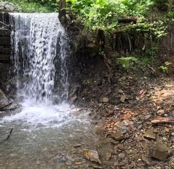 урочище Rafnivskyi