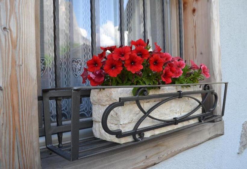 B&b Sot L Agner   Ospitalità Diffusa Conca Agordina