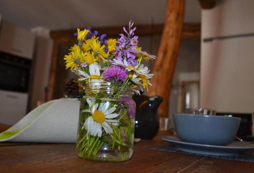 B&b Sot L Agner   Ospitalità Diffusa Conca Agordina