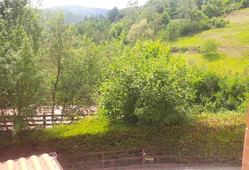 Bed and Breakfast Tenuta La Ginestra