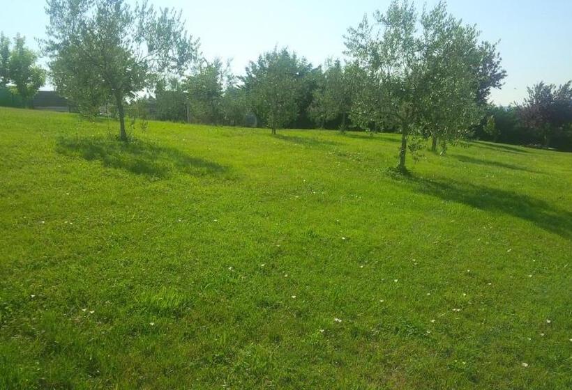 Bed and Breakfast Tenuta La Ginestra