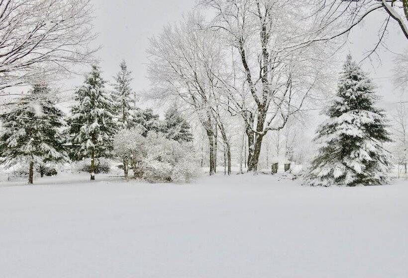 Harlem Stonegate B&b