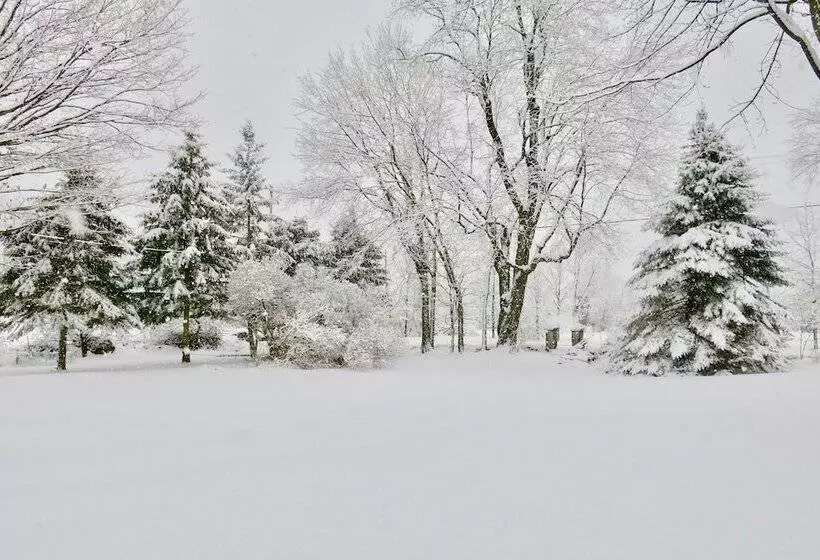 Harlem Stonegate B&b