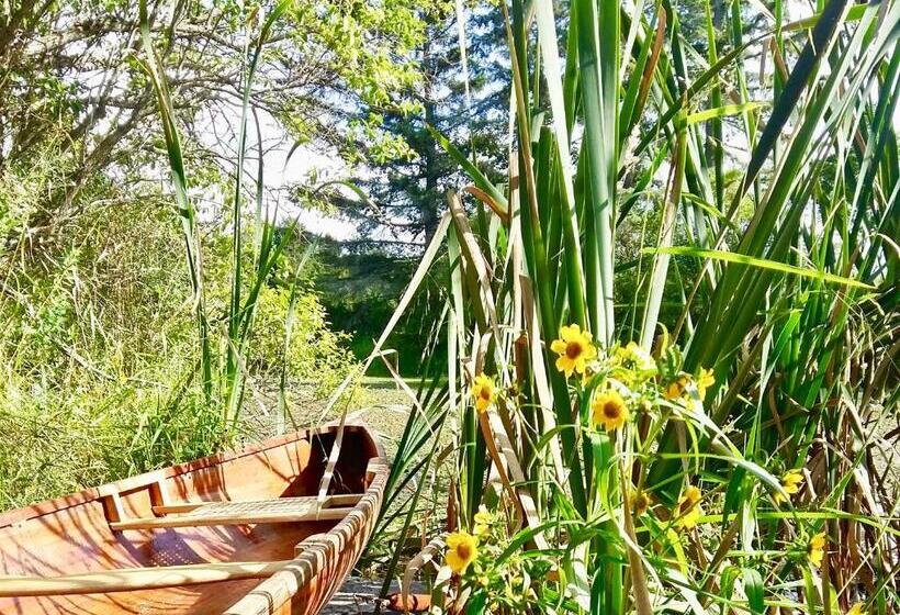 Harlem Stonegate B&b