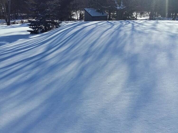 Harlem Stonegate B&b