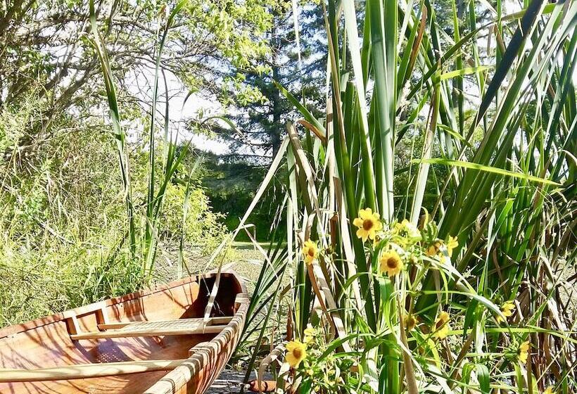 Harlem Stonegate B&b