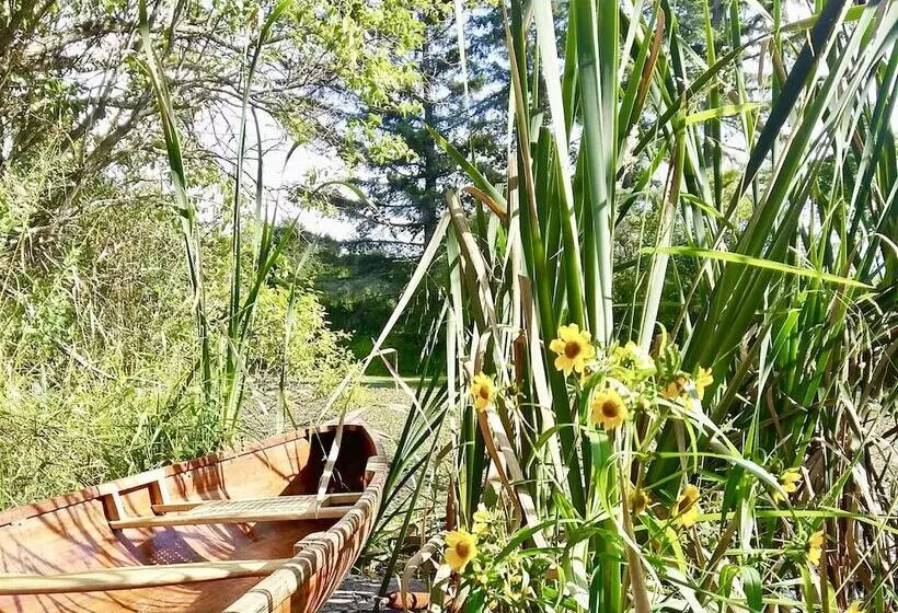 Harlem Stonegate B&b