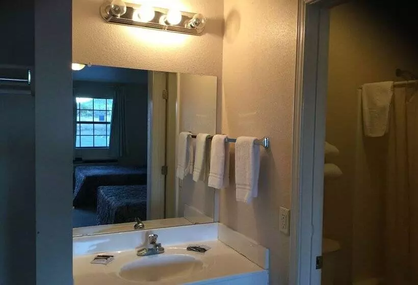 Hotelli Americana Inn