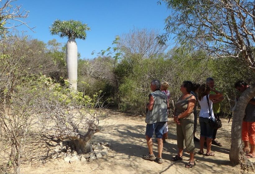 هتل Auberge De La Table