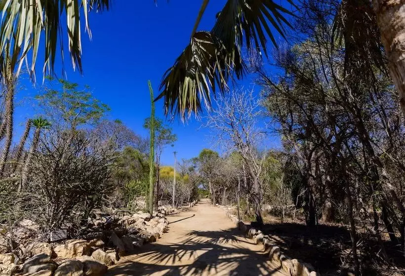 هتل Auberge De La Table