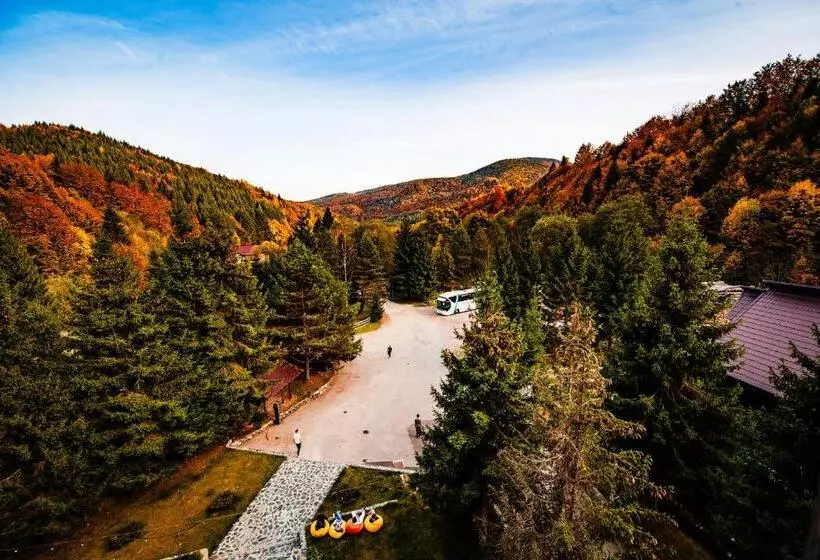 ホテル Complexul Turistic Cheile Butii