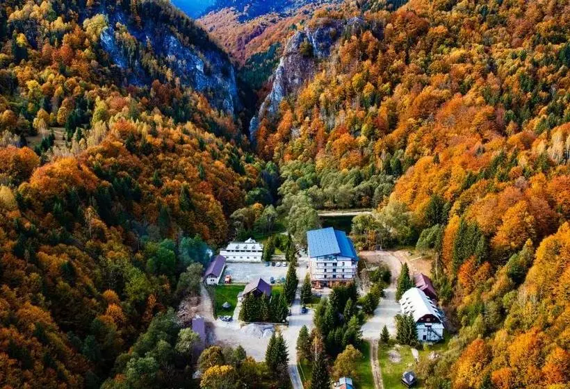 ホテル Complexul Turistic Cheile Butii