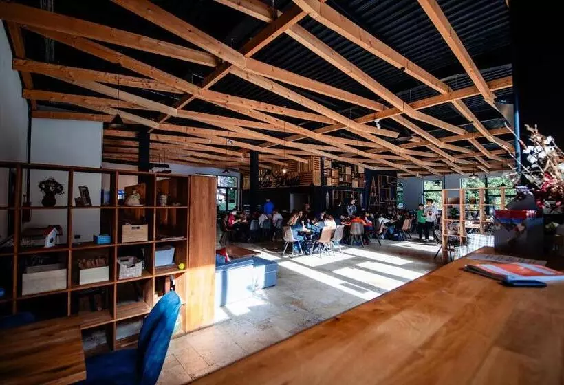 ホテル Complexul Turistic Cheile Butii