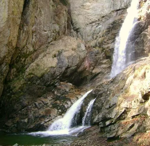 ホテル Complexul Turistic Cheile Butii