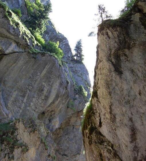 호텔 Complexul Turistic Cheile Butii