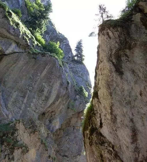 ホテル Complexul Turistic Cheile Butii