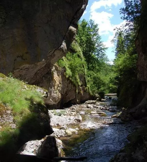 ホテル Complexul Turistic Cheile Butii