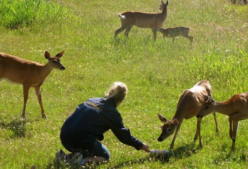 فندق L`escale Lam Air