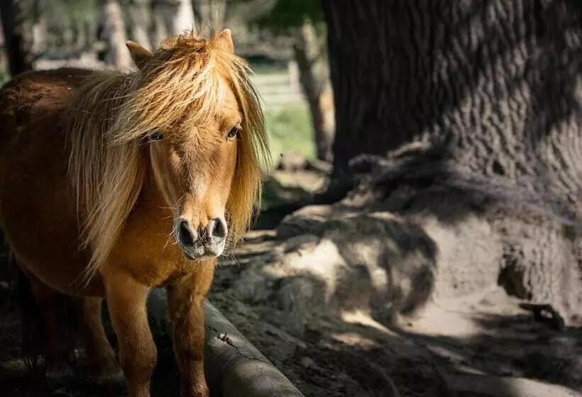 هتل Ranč červený Mlýn
